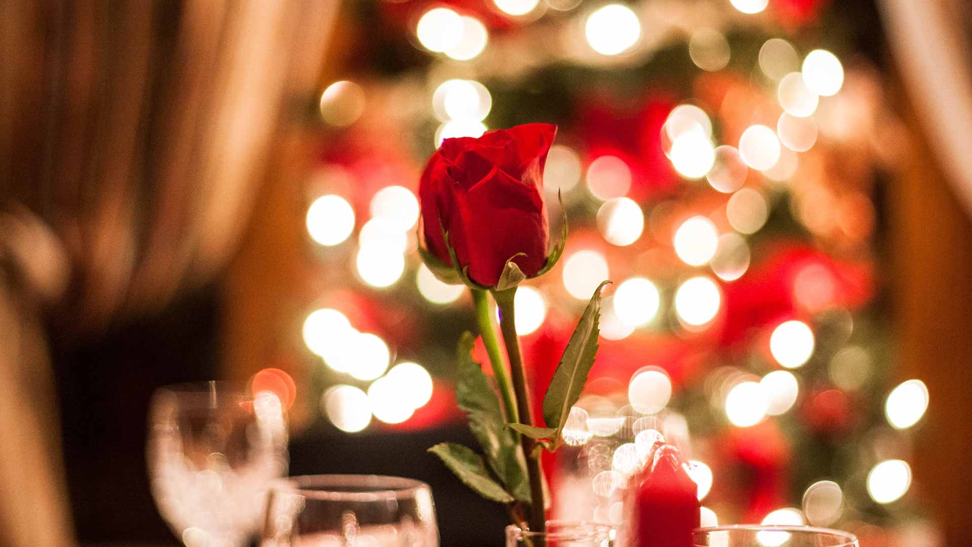 How to Make Fresh Flowers Arrangements for Christmas? Guernsey Flowers by Post