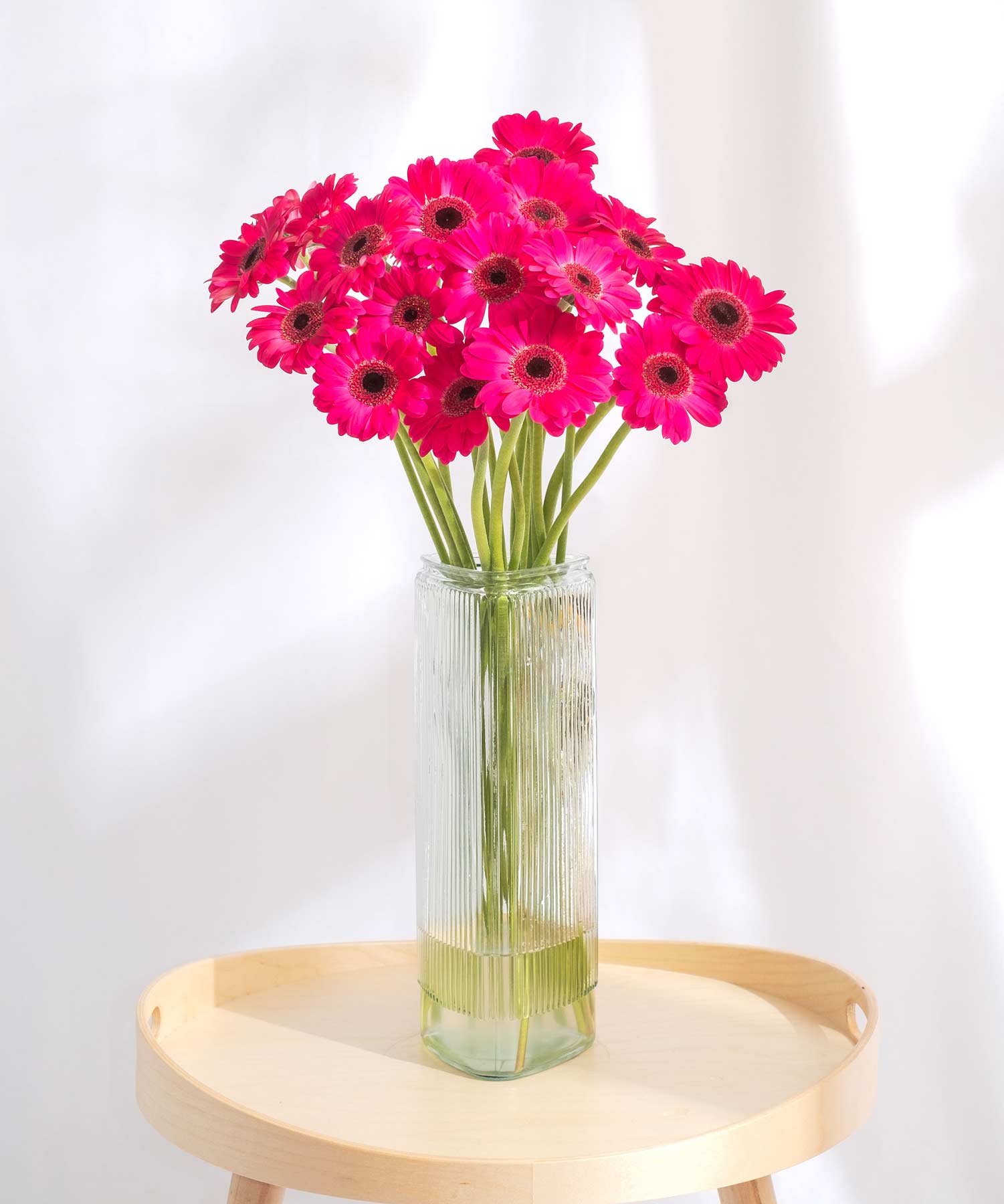 Order beautiful Gerberas online for UK & London Delivery Guernsey