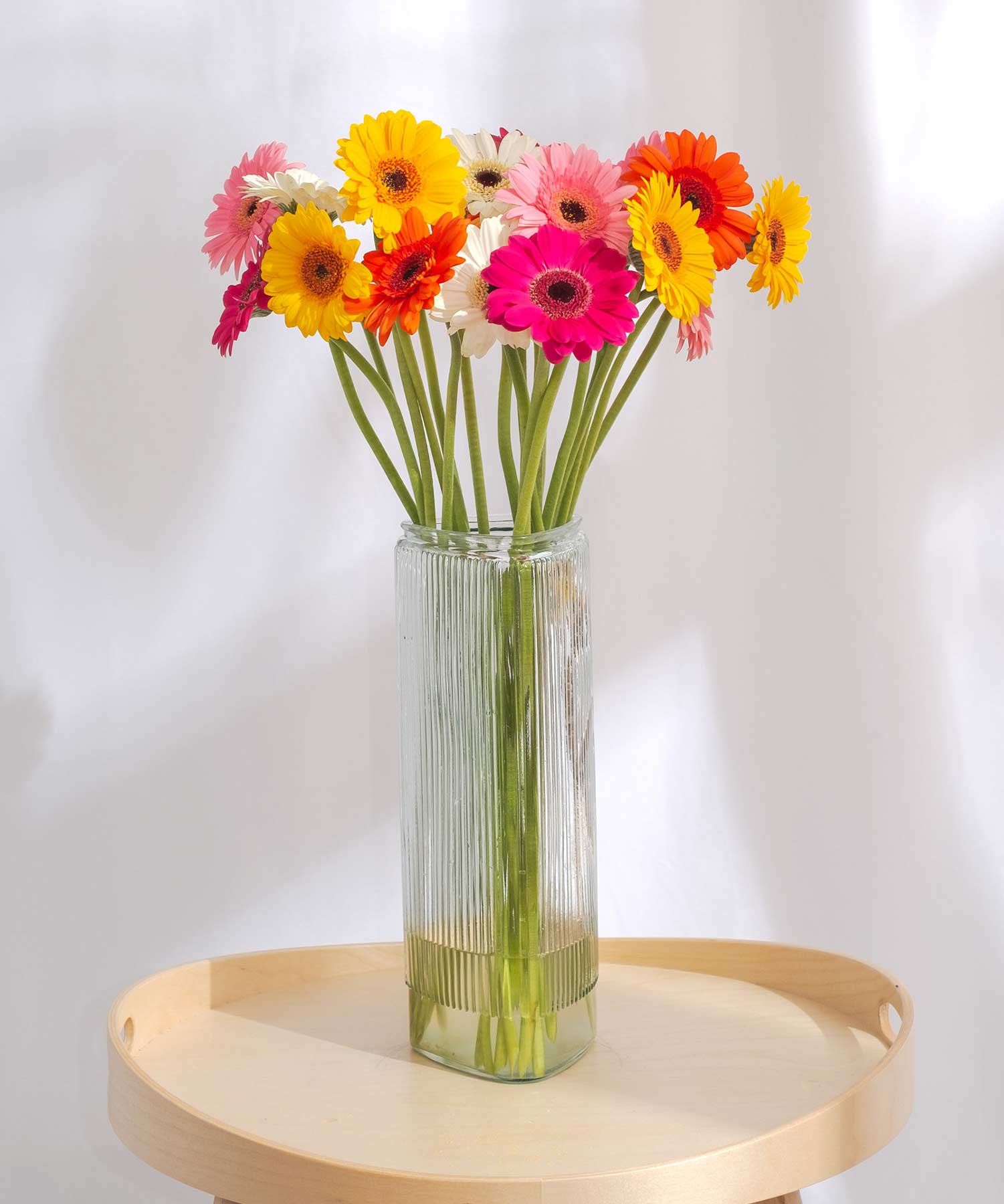 Order beautiful Gerberas online for UK & London Delivery Guernsey