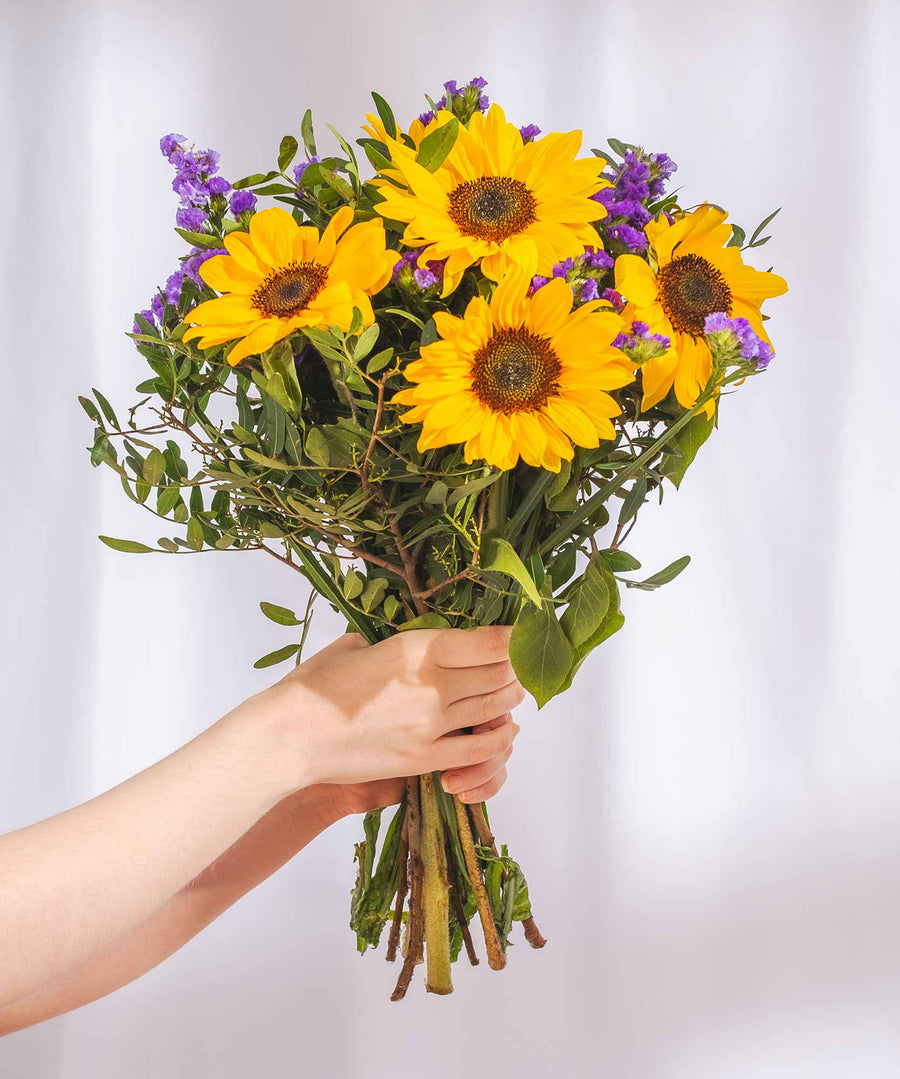 Sunflower Summer Breeze Bouquet - Guernsey Flowers by Post