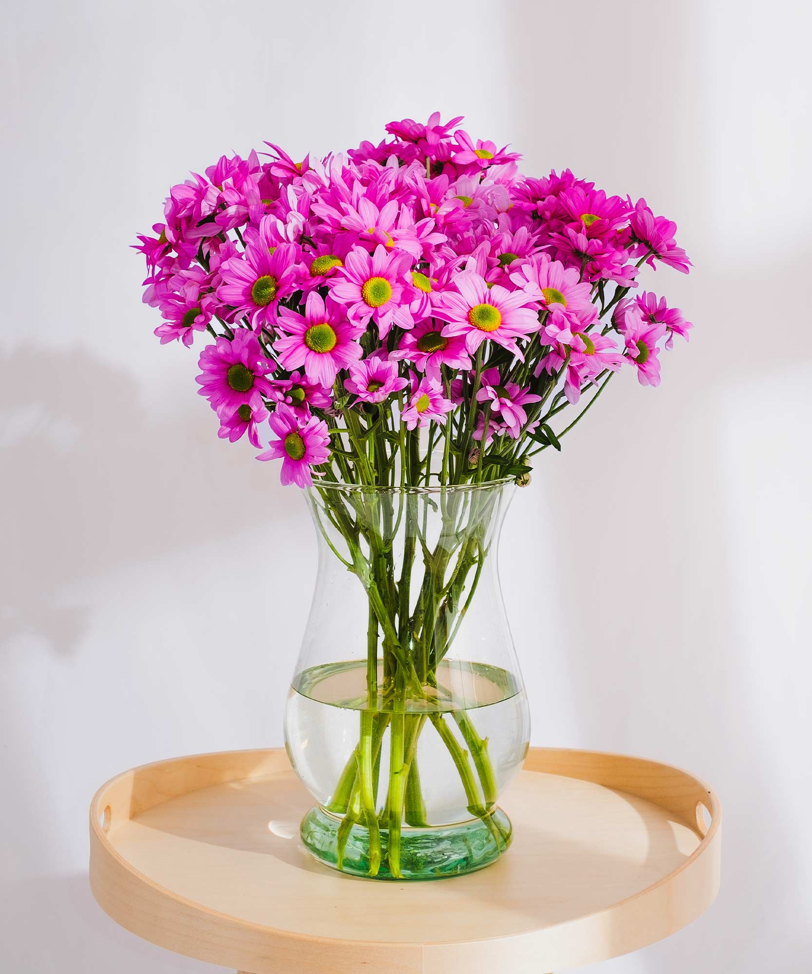 Pink Chrysanthemum Flowers by Post to London, UK, Channel Islands