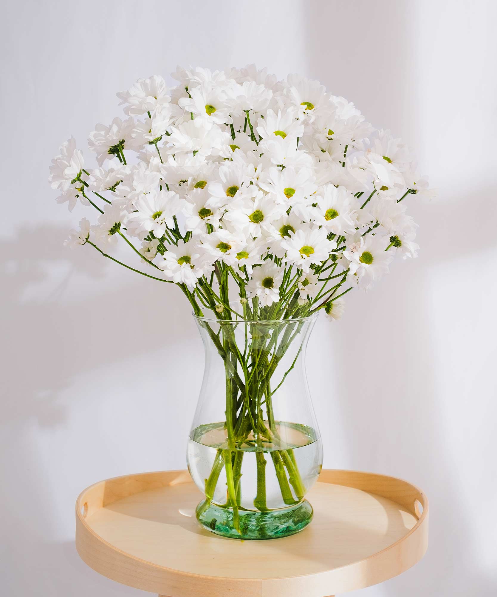 White Chrysanthemum Flowers by Post to London, UK, Channel Islands