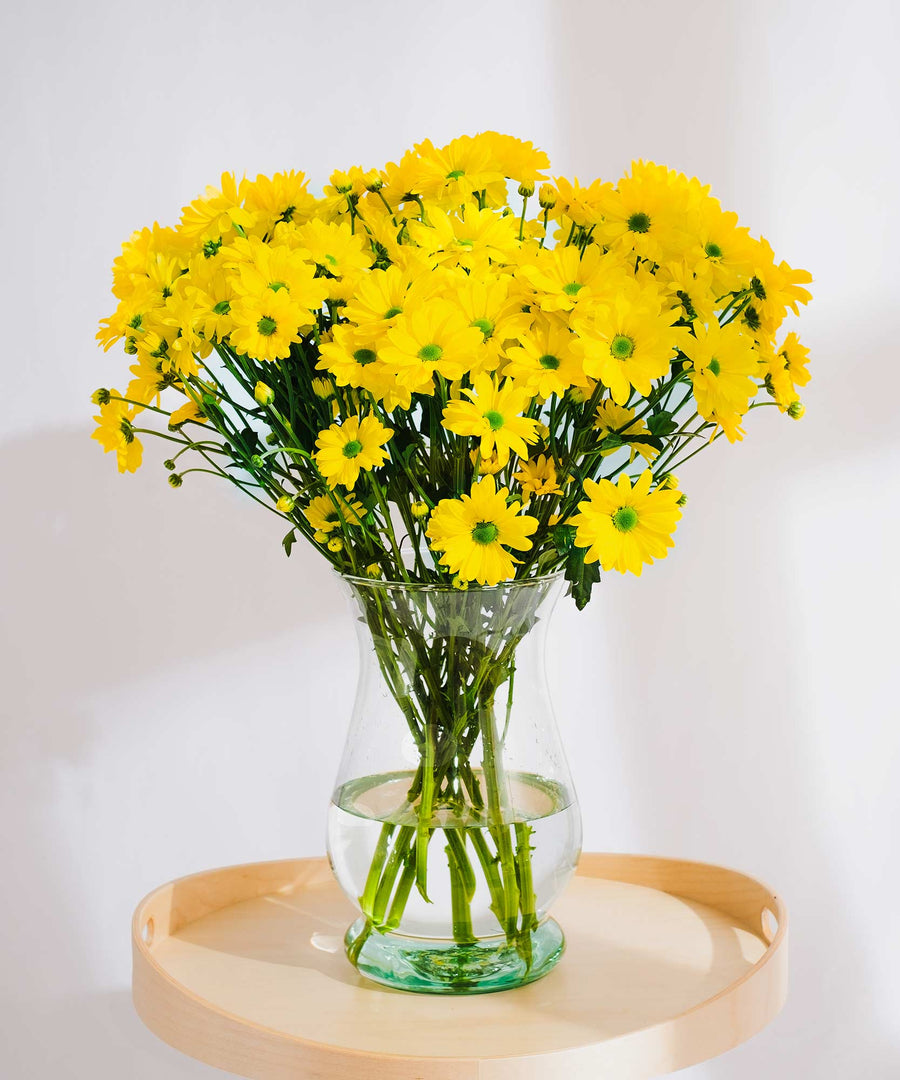 Yellow Chrysanthemum Flowers - Guernsey Flowers by Post