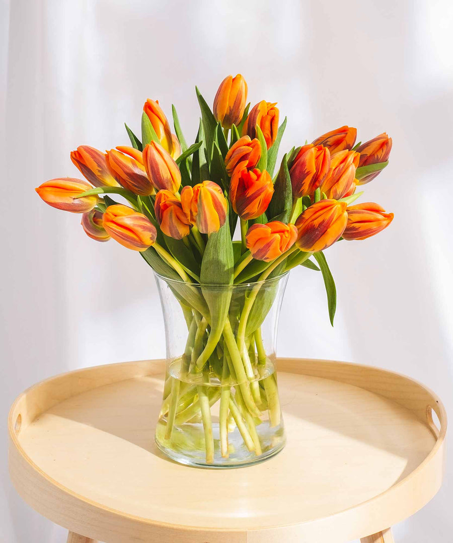 Orange Tulip Flowers - Guernsey Flowers by Post