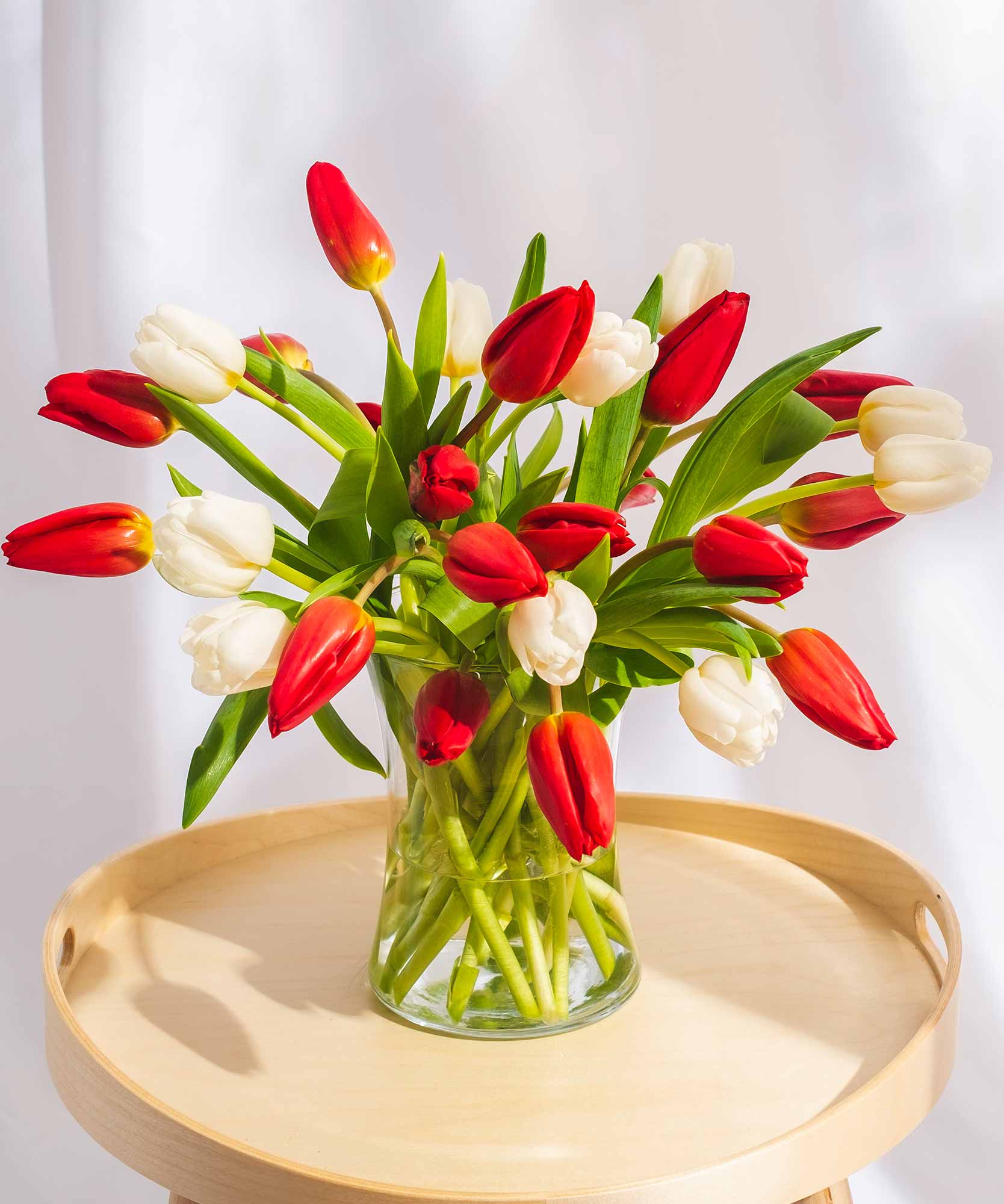 Order beautiful Guernsey Tulips online for UK & London Delivery