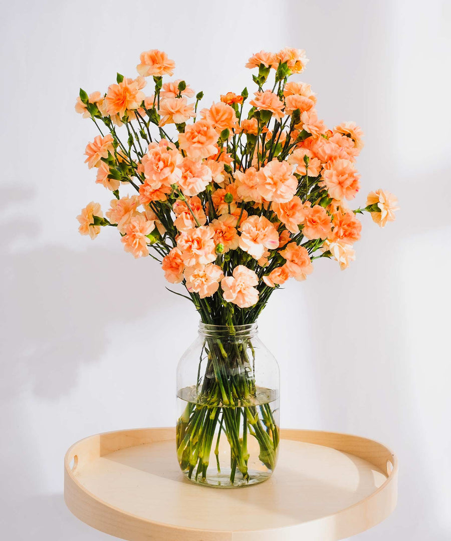 Spray Peach Carnation Flowers - Guernsey Flowers by Post