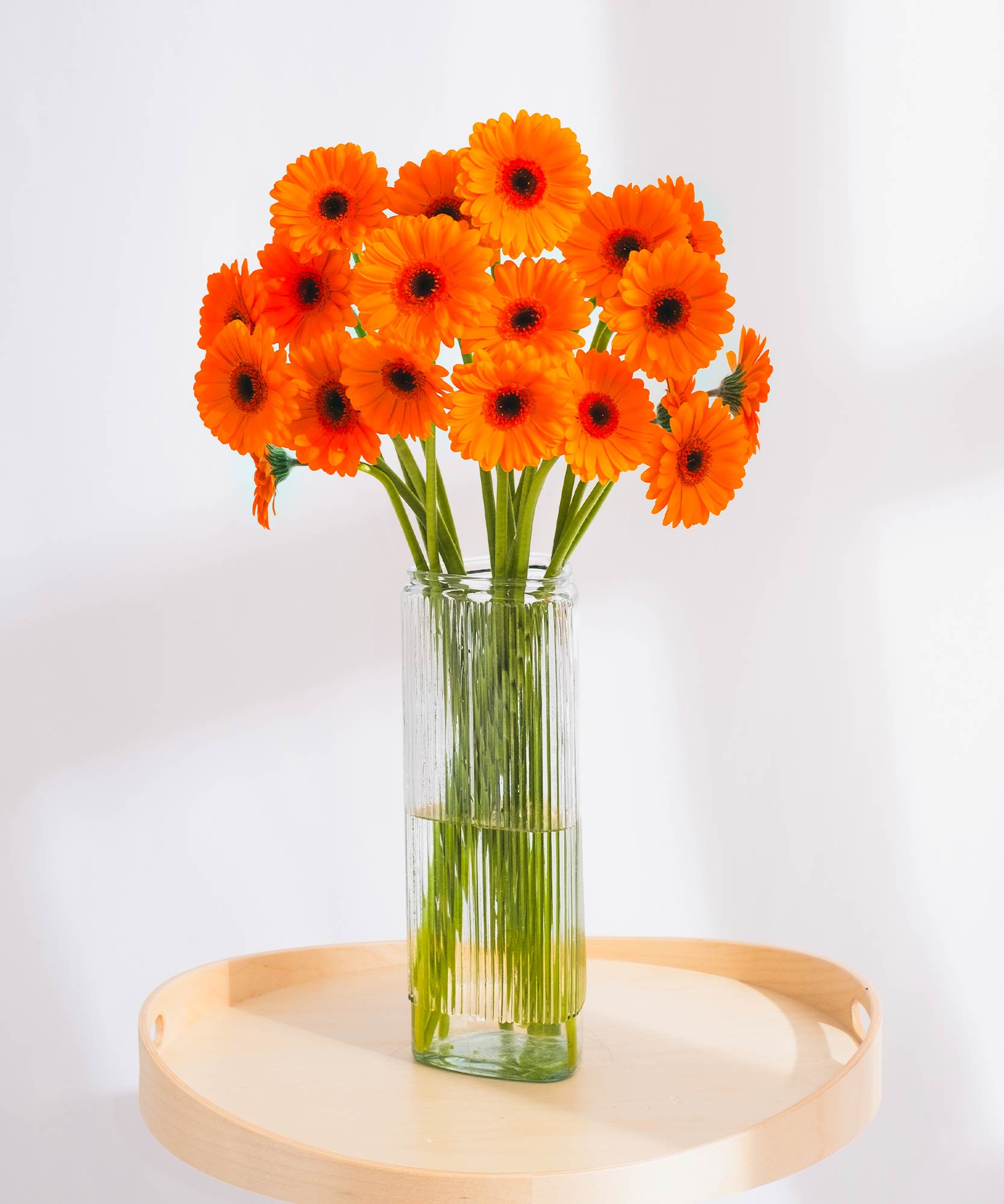 Order beautiful Gerberas online for UK & London Delivery Guernsey