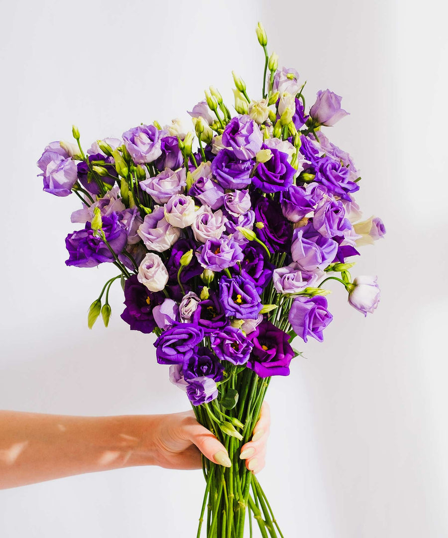 Purple Lisianthus Flowers - Guernsey Flowers by Post