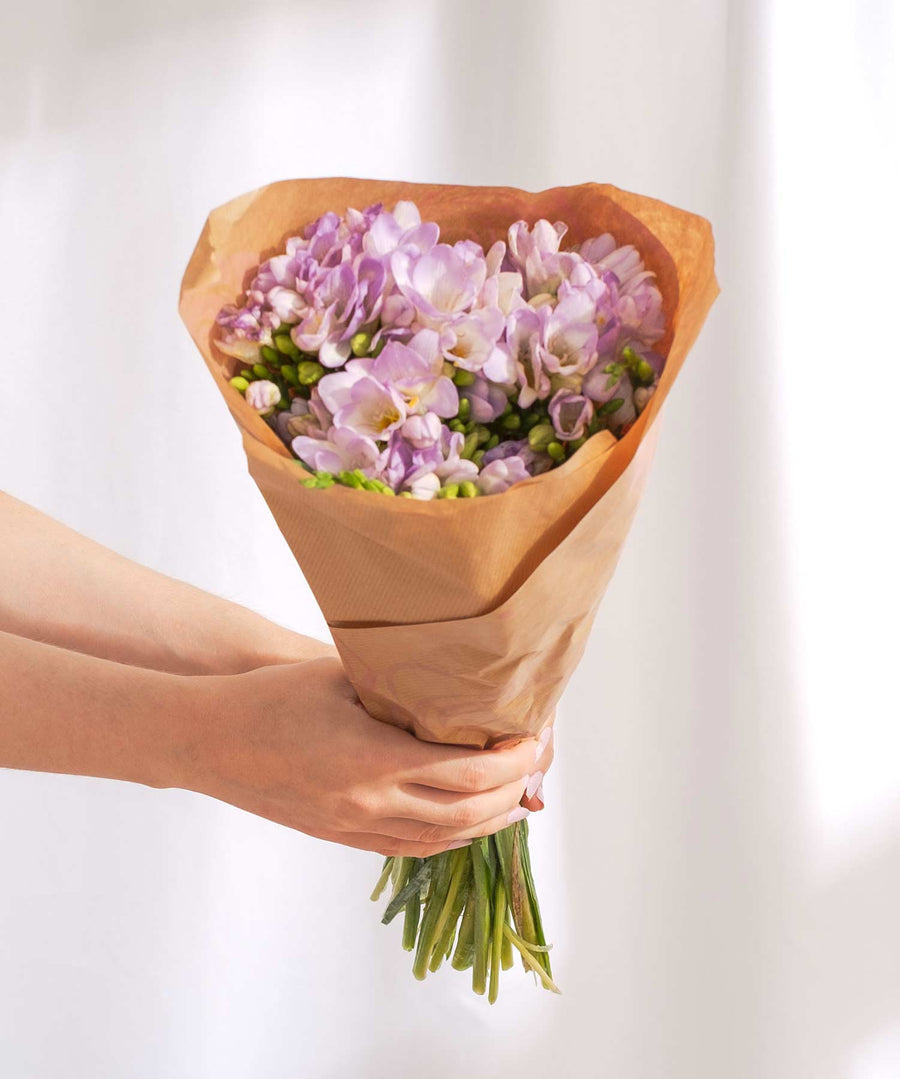 Lilac Guernsey Short Stem Freesia Flowers - Guernsey Flowers by Post