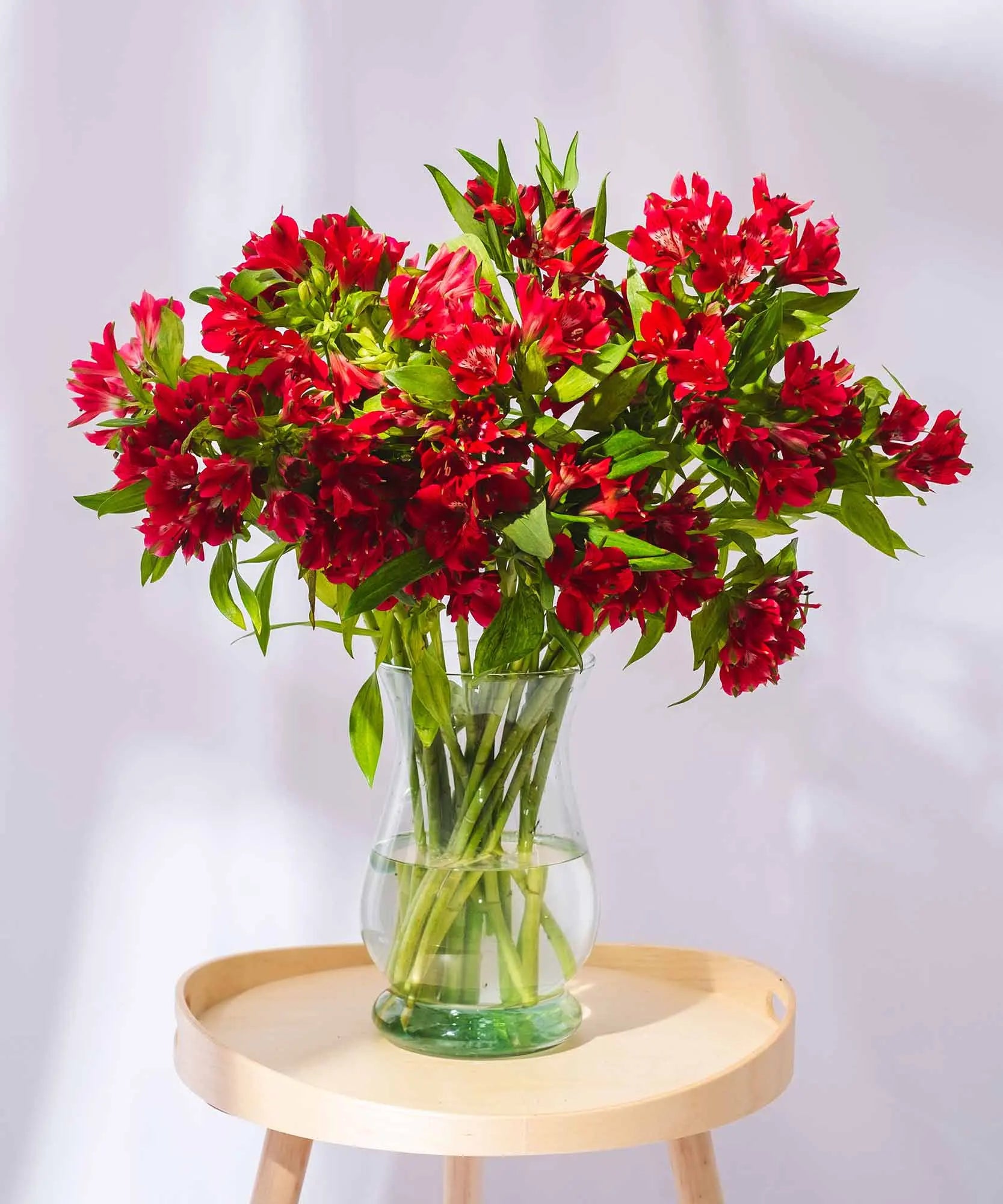 Order beautiful Guernsey Alstroemeria online for UK & London Delivery