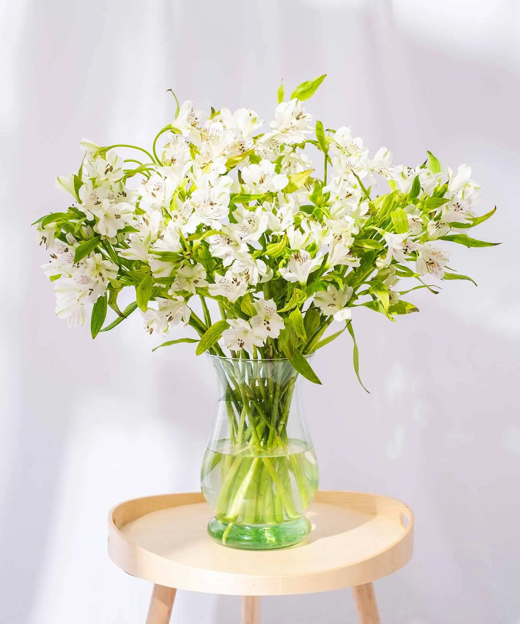 Order beautiful Guernsey Alstroemeria online for UK & London Delivery