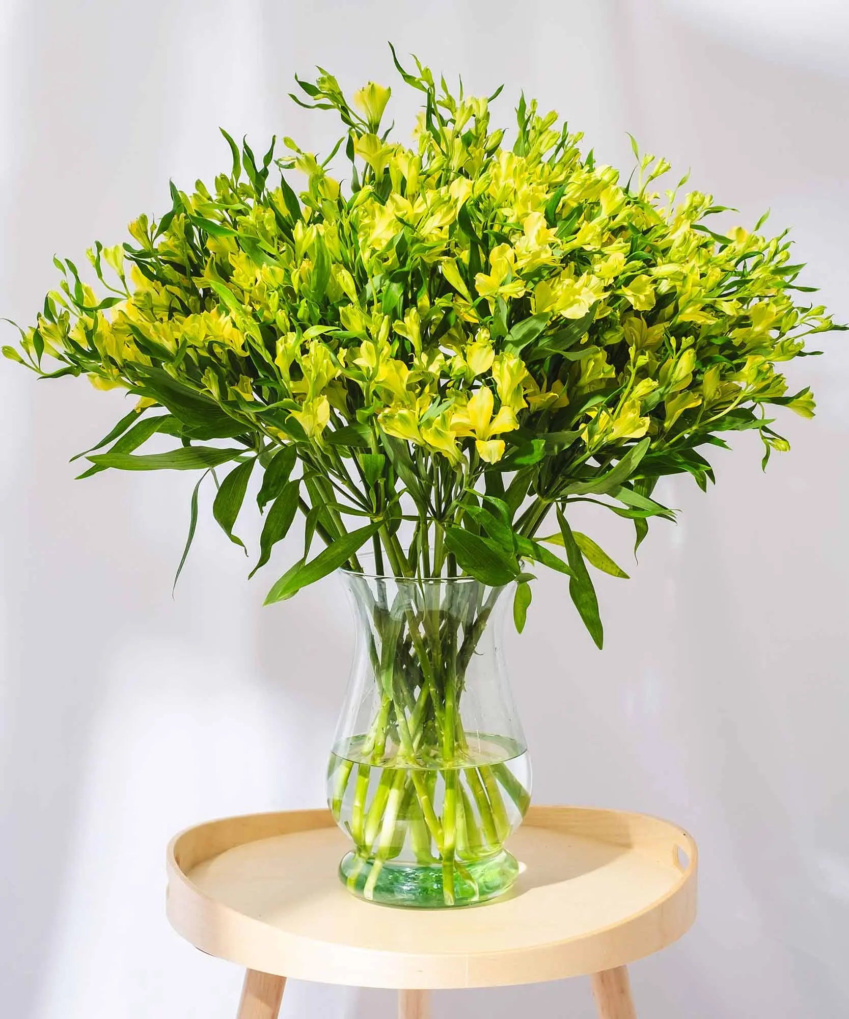 Order beautiful Guernsey Alstroemeria online for UK & London Delivery