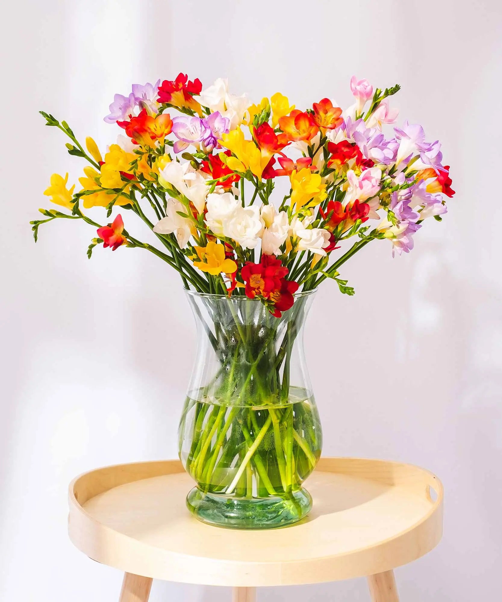 Mixed Long Stem Freesias by Post to London, UK, Channel Islands