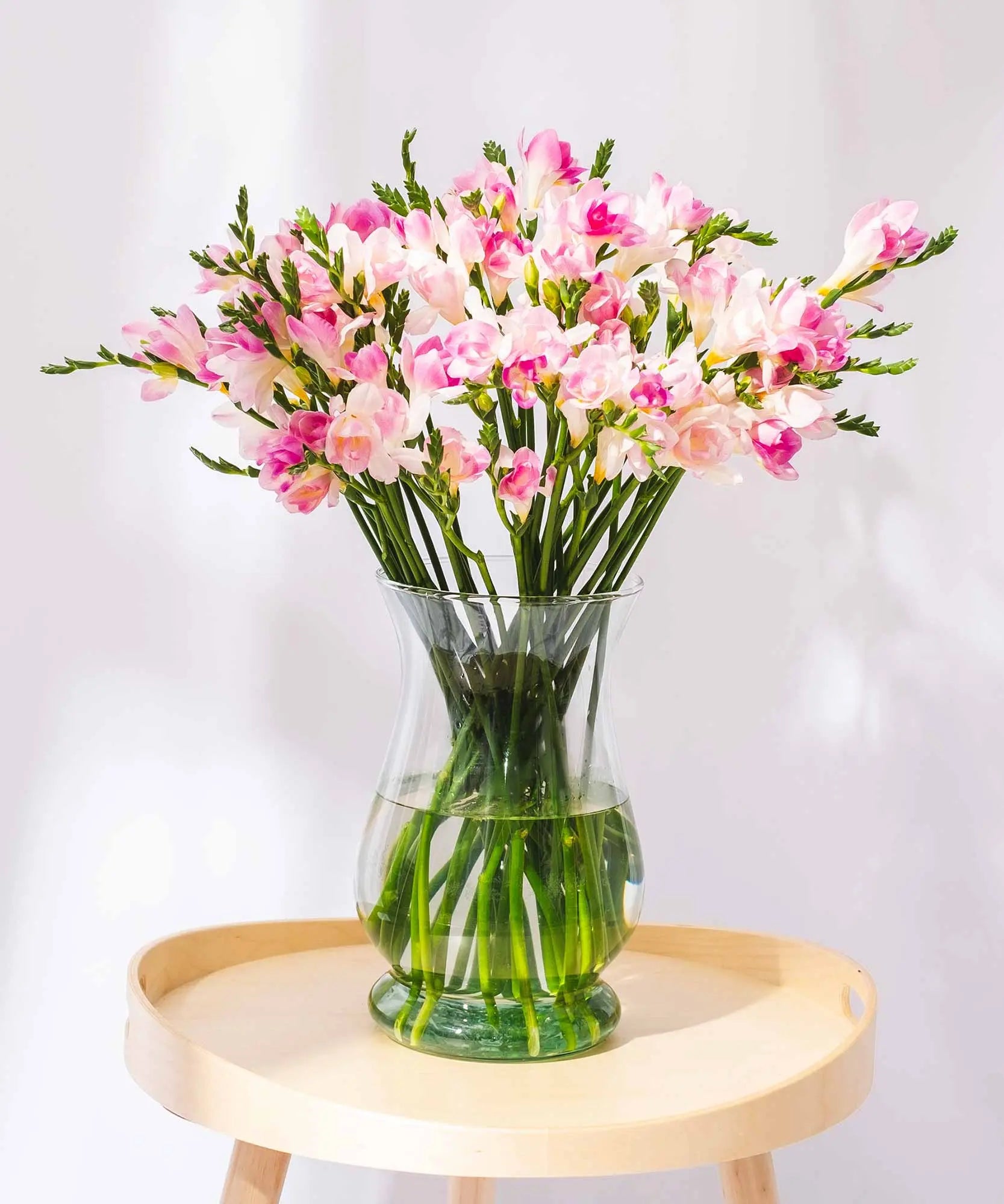 light pink guernsey long stem freesia flowers