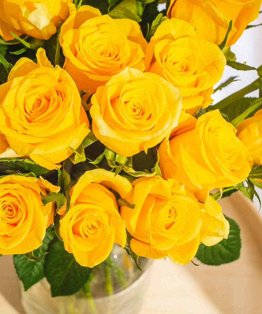Yellow Roses - Guernsey Flowers by Post