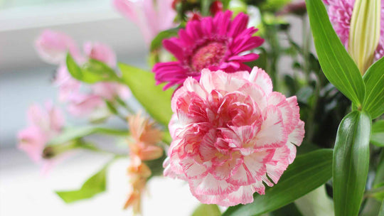 5 Reasons You Should Have Fresh Flowers at Home  - Guernsey Flowers by Post