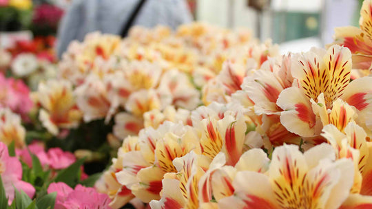 9 Tips for Choosing the Right Fresh Flowers for your Event - Guernsey Flowers by Post