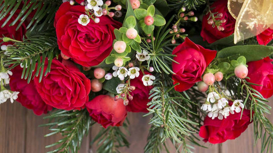 Five Most Stunning Red And White Flowers For The Christmas Season - Guernsey Flowers by Post
