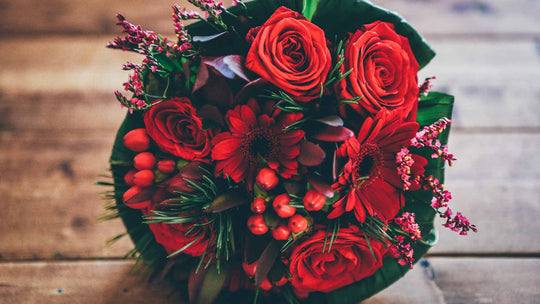 Top Christmas Flowers and What They Mean - Guernsey Flowers by Post