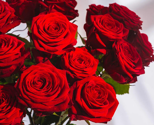 Red Rose Delivery: A Perfect Expression of Love for Special Occasions - Guernsey Flowers by Post