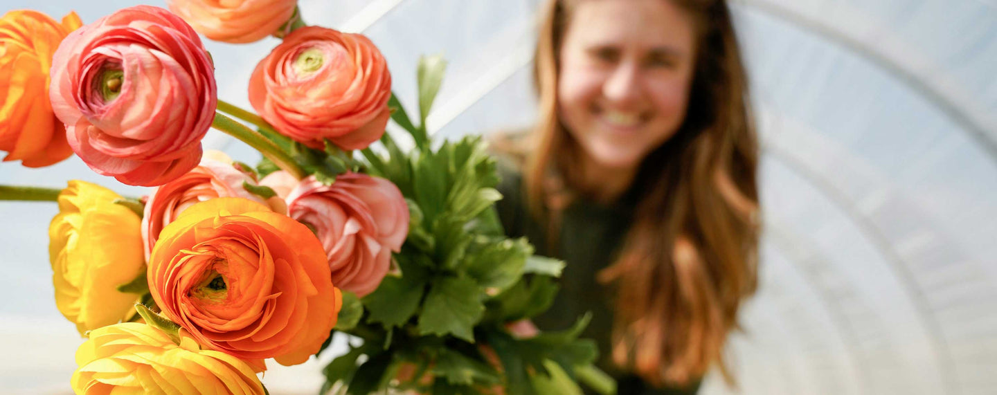 Mother-s-Day-Flowers - Guernsey Flowers by Post