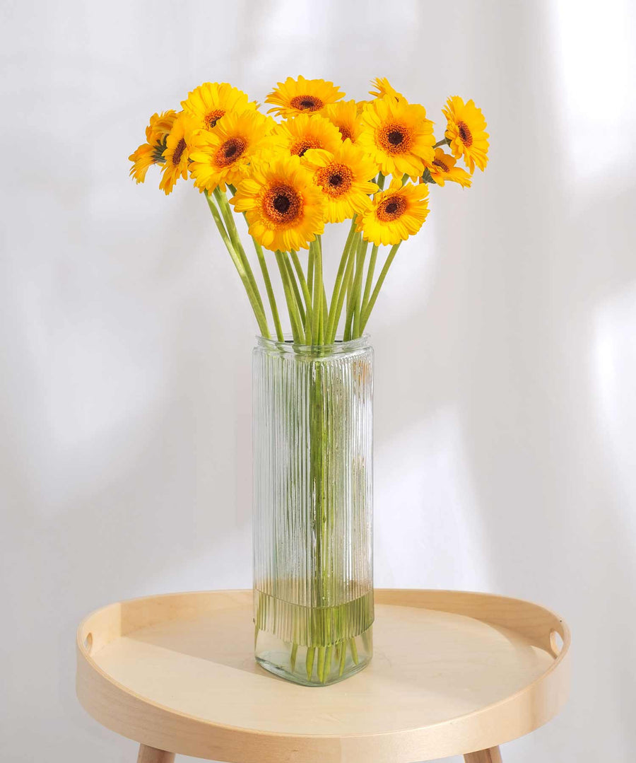 Yellow & Black Gerbera Flowers - Guernsey Flowers by Post