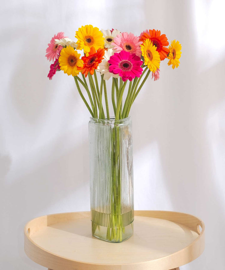 Mixed Gerbera Flowers - Guernsey Flowers by Post