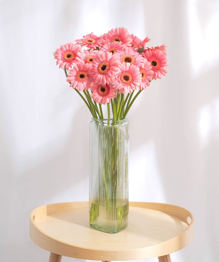 Soft Pink Gerbera Flowers - Guernsey Flowers by Post