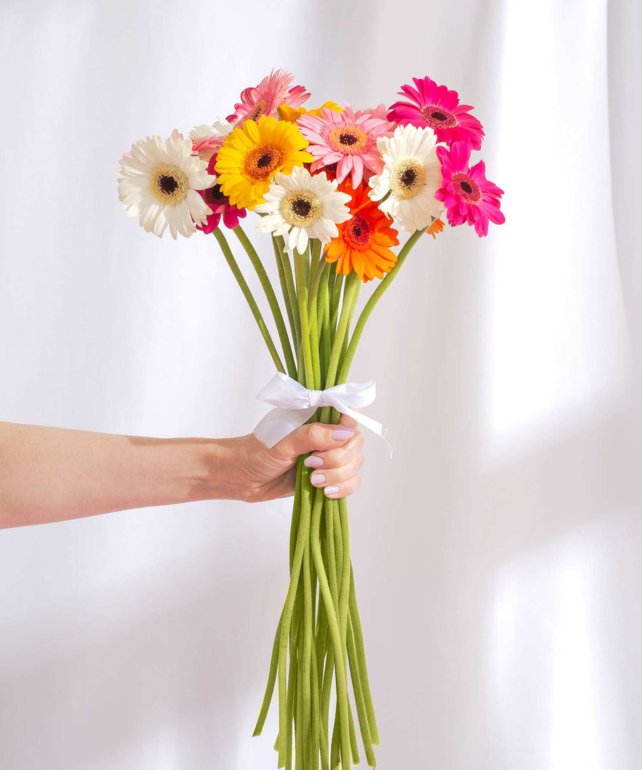Mixed Gerbera Flowers - Guernsey Flowers by Post