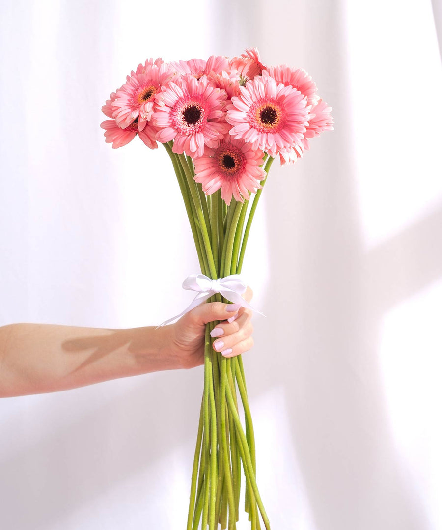 Soft Pink Gerbera Flowers - Guernsey Flowers by Post