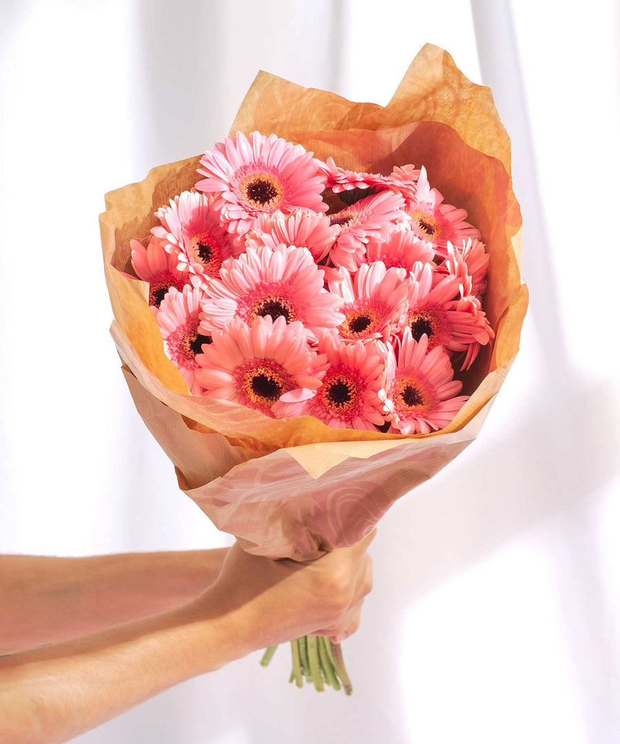 Soft Pink Gerbera Flowers - Guernsey Flowers by Post