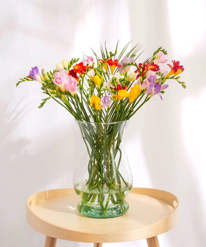 Mixed Guernsey Short Stem Freesia Flowers - Guernsey Flowers by Post