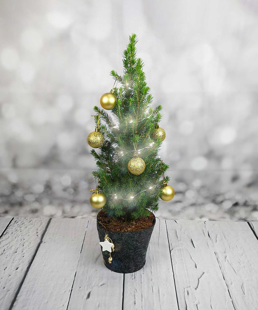 Mini Christmas Tree with Baubles & Lights - Guernsey Flowers by Post