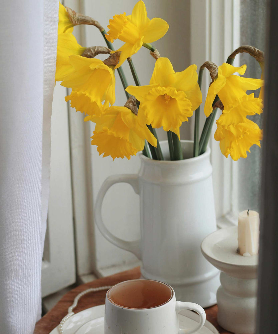 Yellow & White Scented Narcissi - Daffodil Flowers - Guernsey Flowers by Post