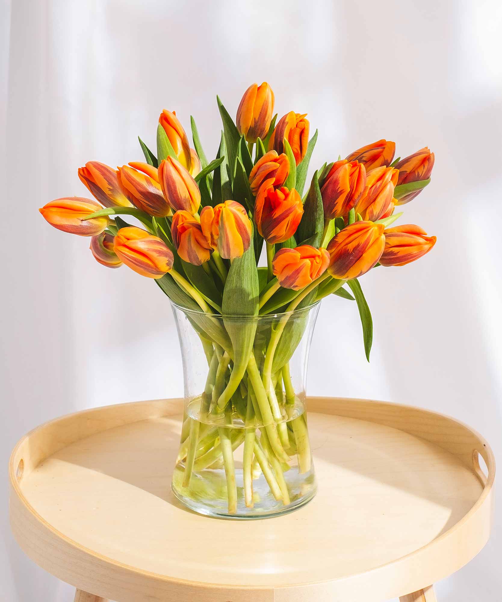 Order beautiful Guernsey Tulips online for UK & London Delivery Guernsey Flowers by Post