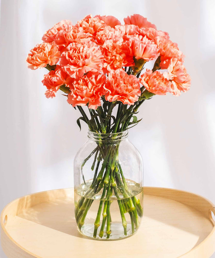 Peach Carnation Flowers - Guernsey Flowers by Post