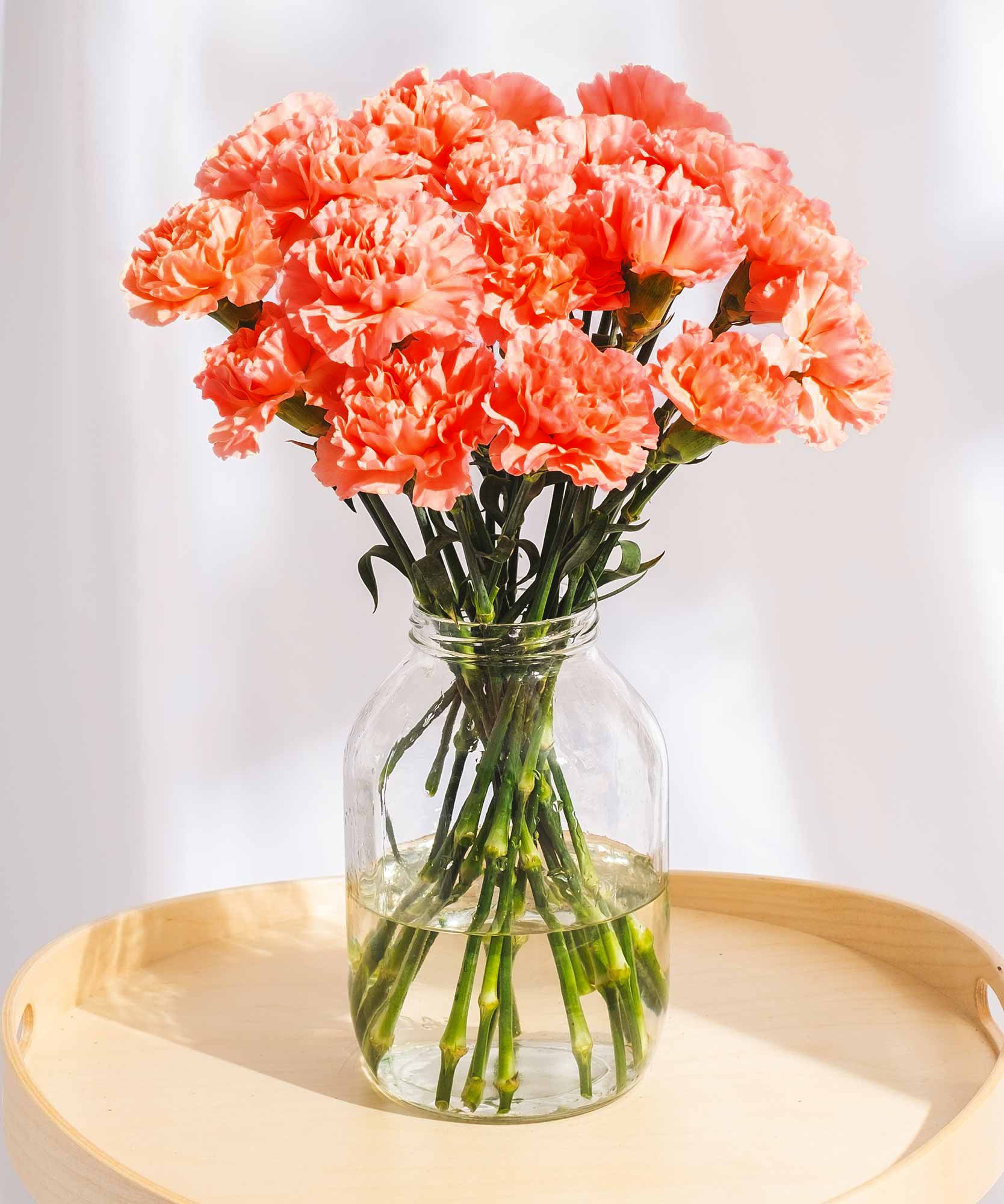 Order beautiful Guernsey Carnations online for UK & London Delivery