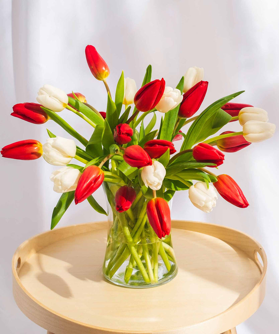 Red & White Tulip Flowers - Guernsey Flowers by Post