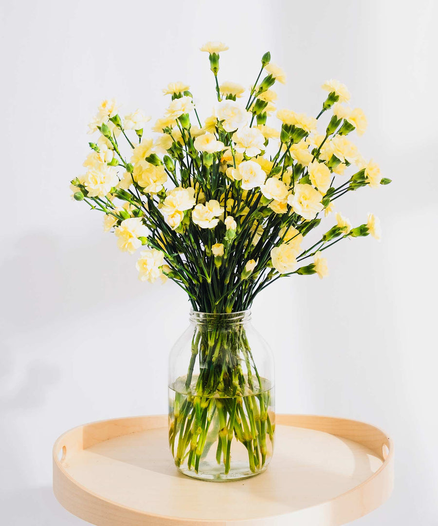 Spray Yellow Carnation Flowers - Guernsey Flowers by Post