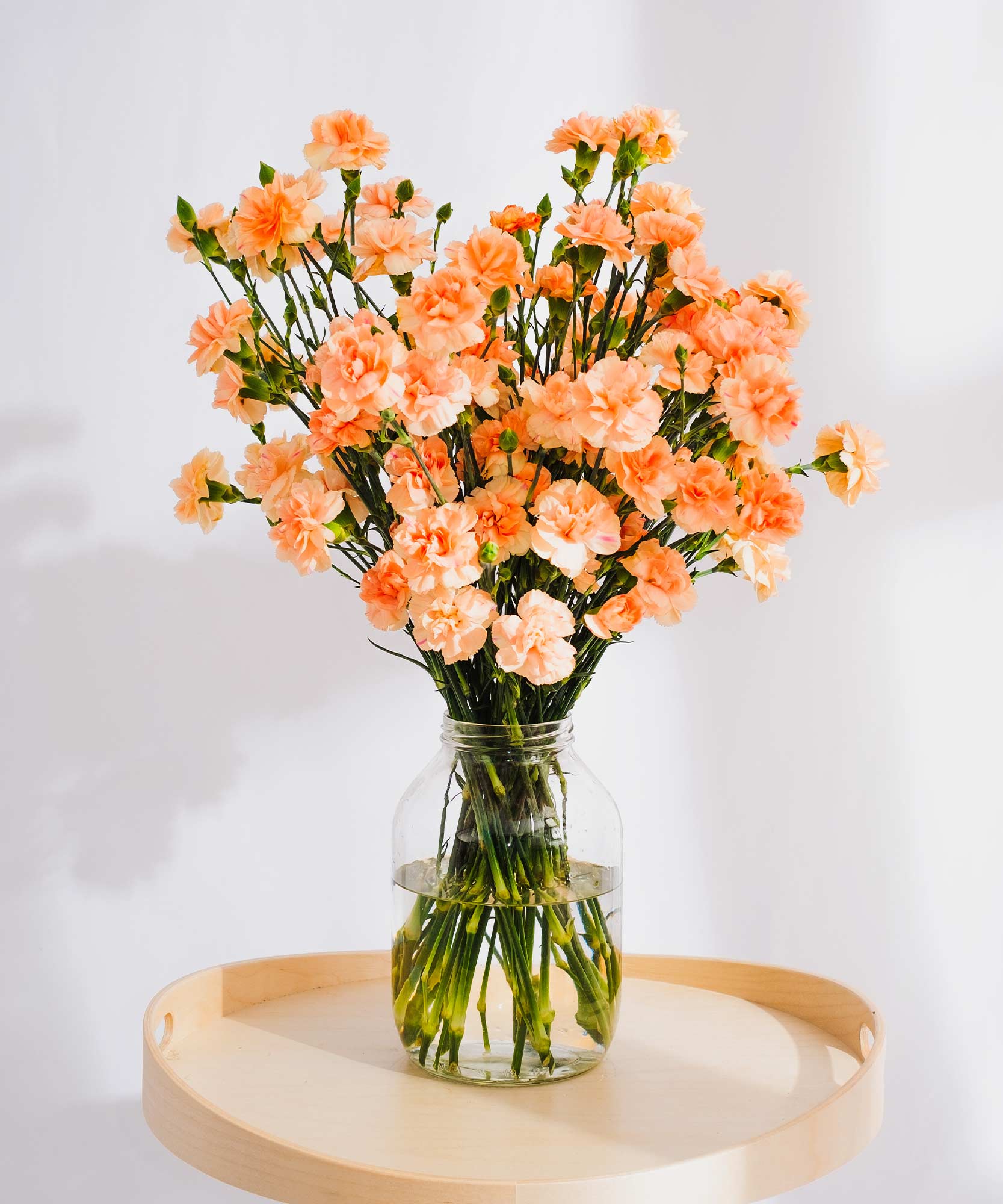 Order beautiful Guernsey Carnations online for UK & London Delivery