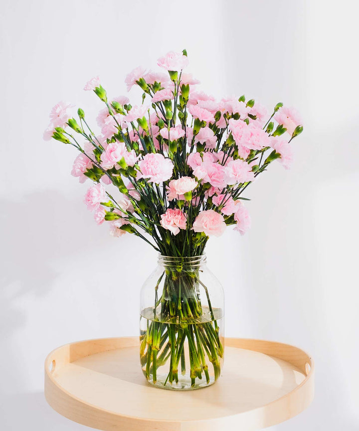 Spray Pink Carnation Flowers - Guernsey Flowers by Post
