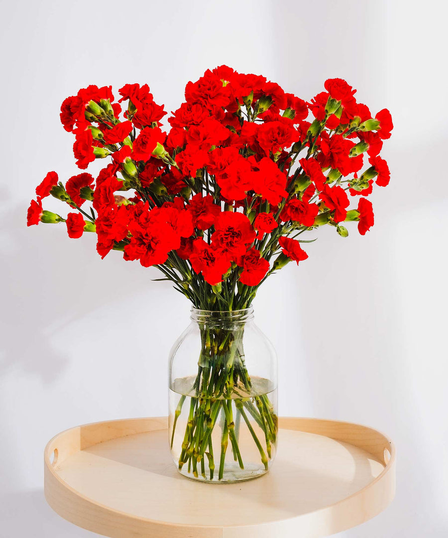 Spray Red Carnation Flowers - Guernsey Flowers by Post