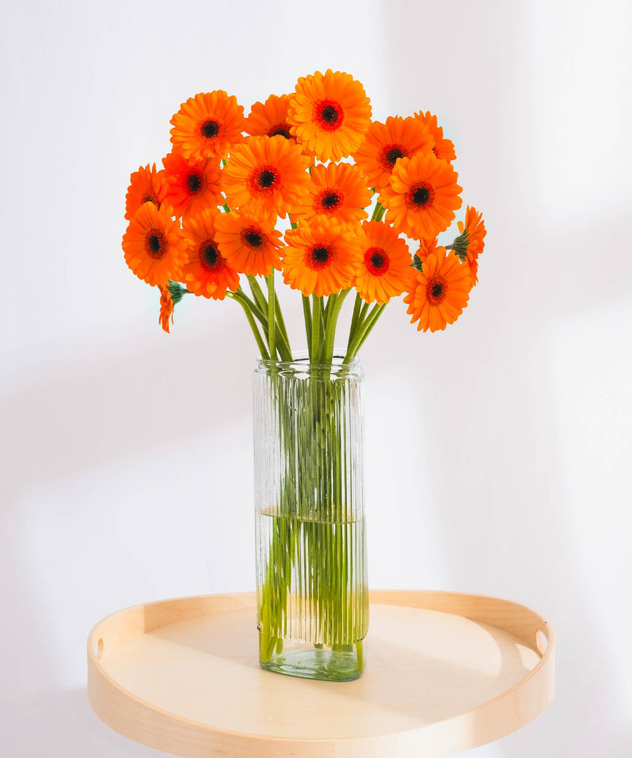 Orange & Yellow Gerbera Flowers - Guernsey Flowers by Post