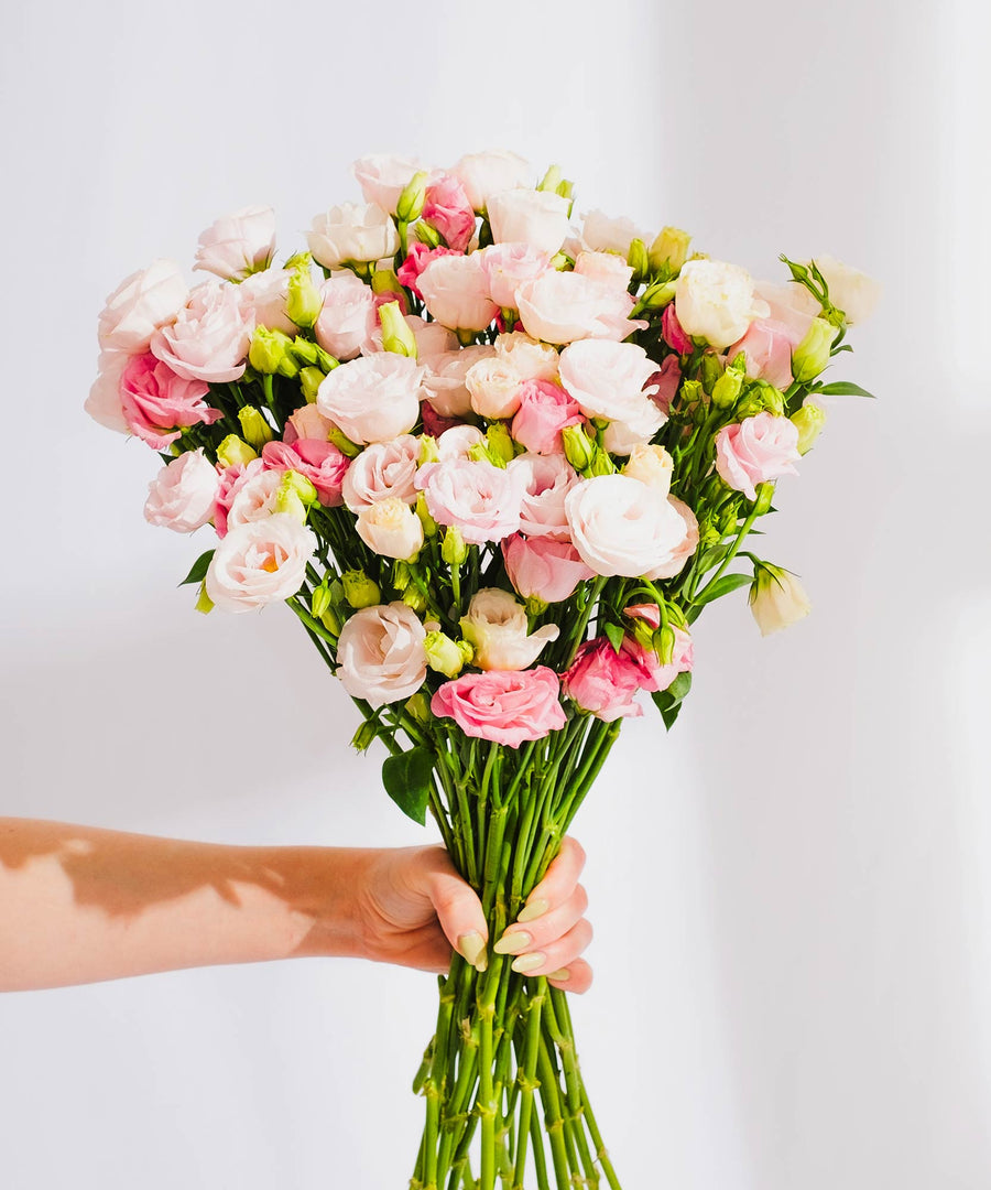 Pink Lisianthus Flowers - Guernsey Flowers by Post