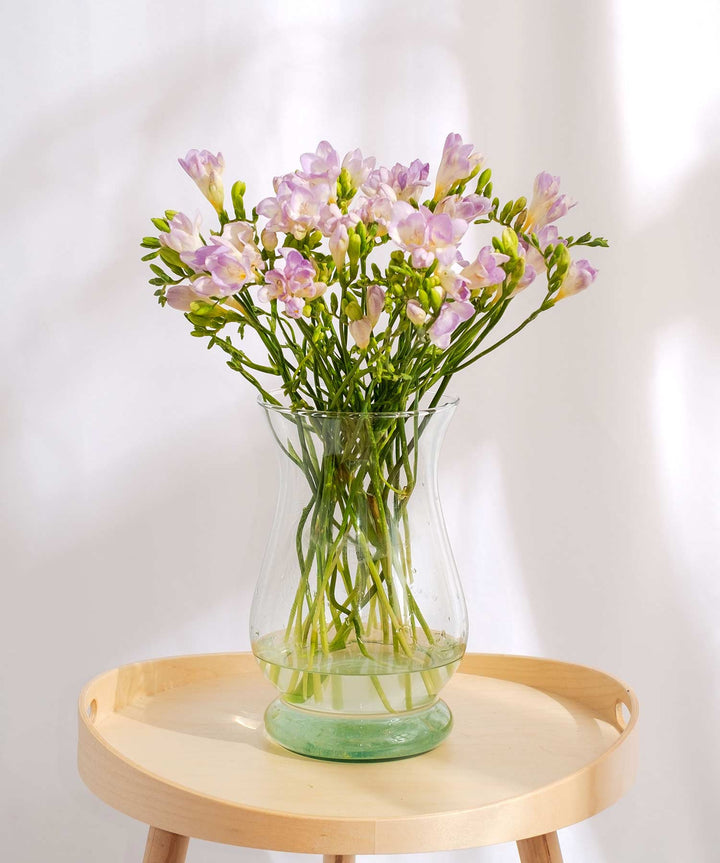 Lilac Guernsey Short Stem Freesia Flowers - Guernsey Flowers by Post
