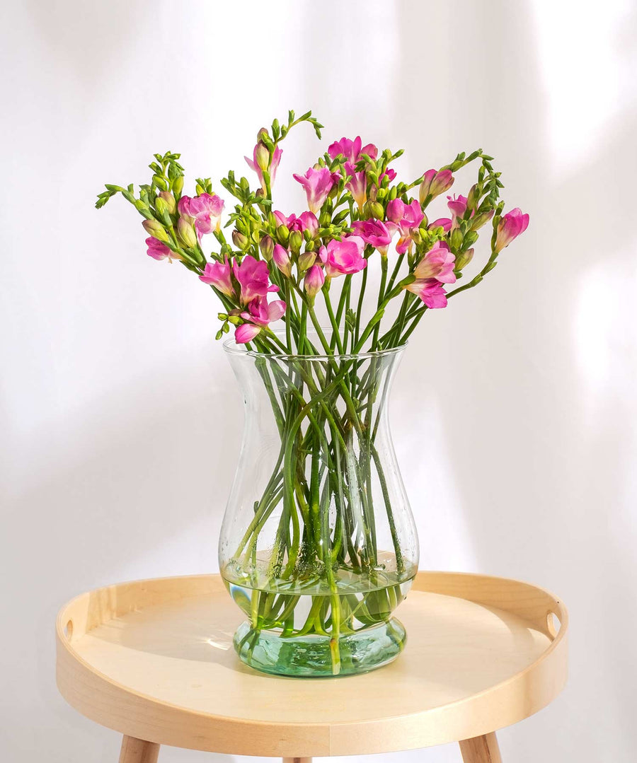 Dark Pink Guernsey Short Stem Freesia Flowers - Guernsey Flowers by Post