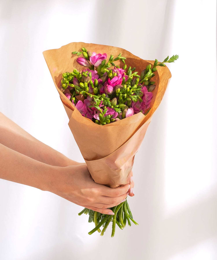 Dark Pink Guernsey Short Stem Freesia Flowers - Guernsey Flowers by Post