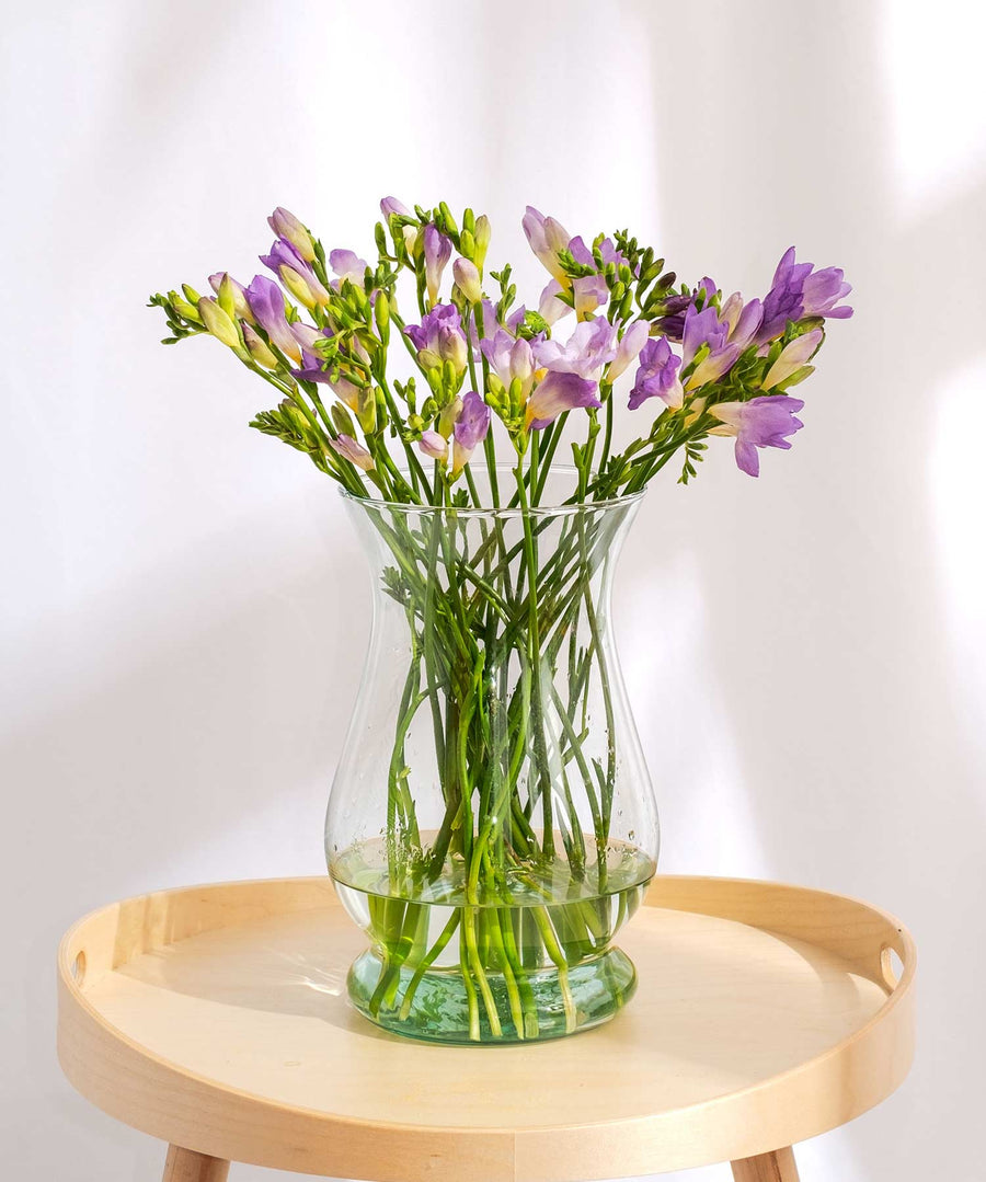 Purple Pink Guernsey Short Stem Freesia Flowers - Guernsey Flowers by Post