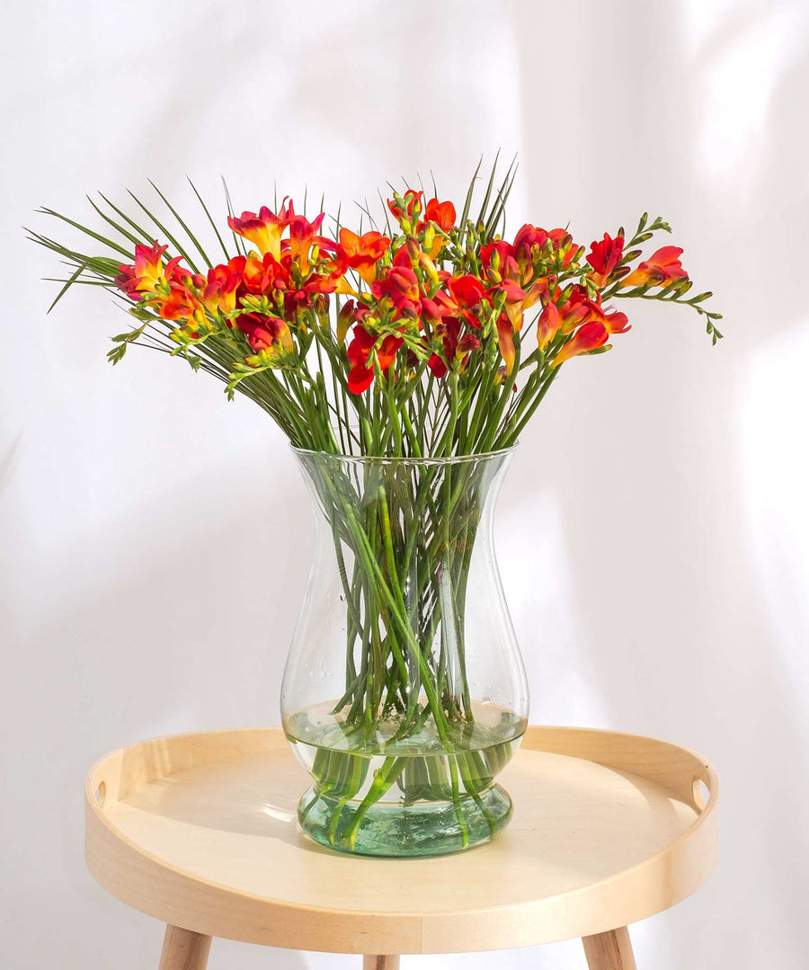 Red Guernsey Short Stem Freesia Flowers - Guernsey Flowers by Post