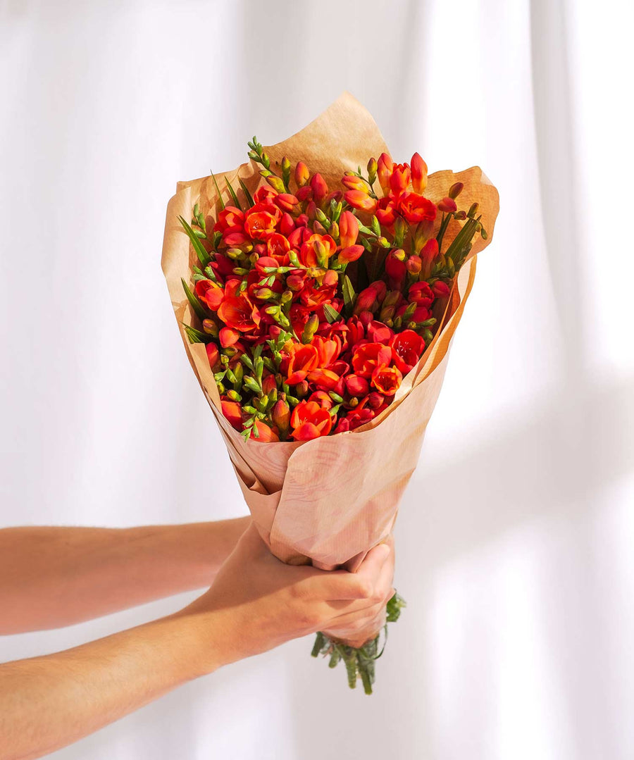 Red Guernsey Short Stem Freesia Flowers - Guernsey Flowers by Post